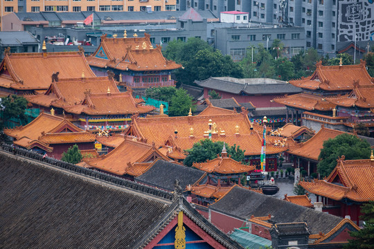 呼和浩特大召寺