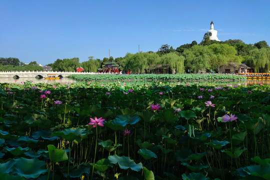 北京北海公园