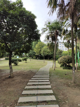 公园游道与绿植