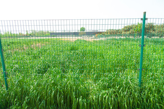 科学生态种植菜园