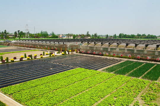 科学生态种植菜园