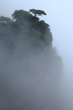 水墨山水