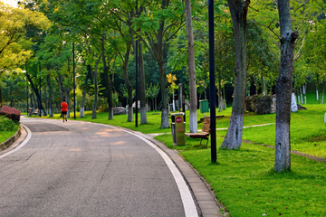 公园绿化道路风景