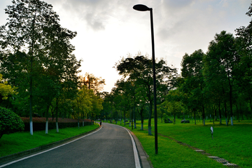 公园绿化道路风景