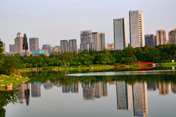 锦城公园湖畔风景