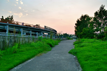 公园绿化道路风景