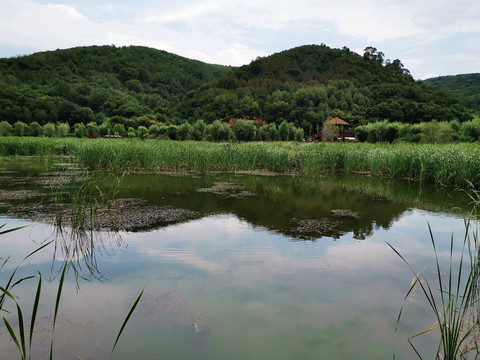 南泥湾湿地公园