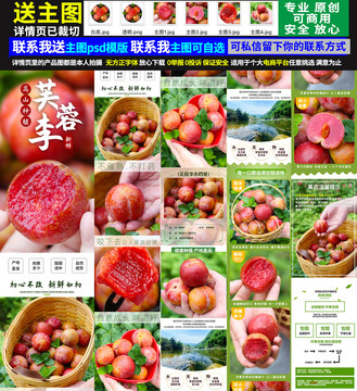 芙蓉李詳情頁