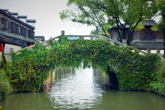 安昌古镇拱桥