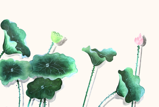 荷葉荷花
