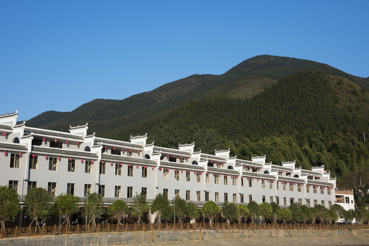 绿水青山乡村生态建设