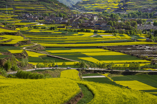 魅力山村