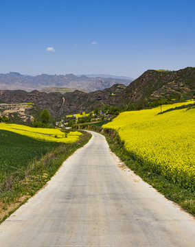 美丽山路