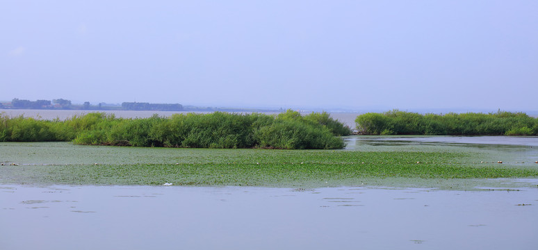 兴凯湖