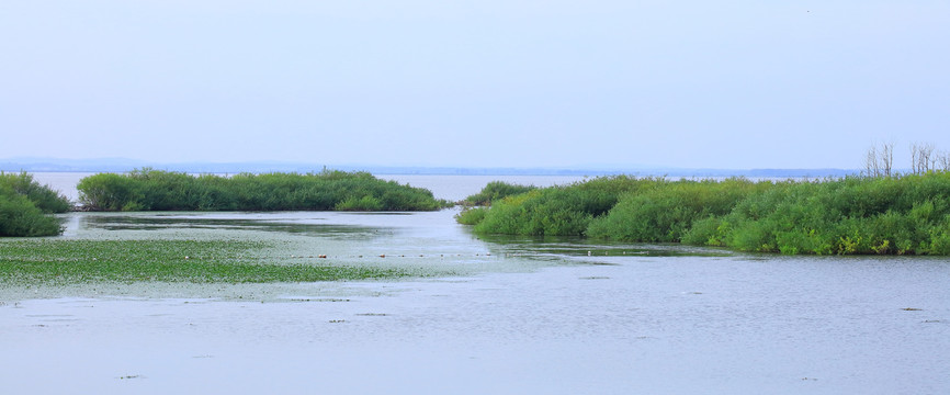 兴凯湖