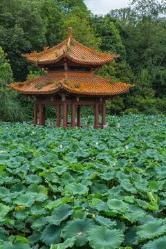 绵阳富乐山