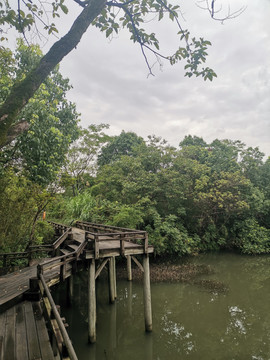 杭州景区