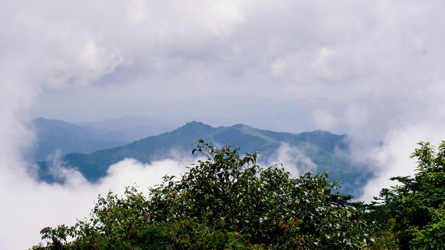 秦岭光头山