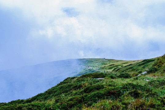 秦岭光头山