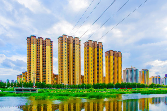 万水河对岸高层建筑与树木水草