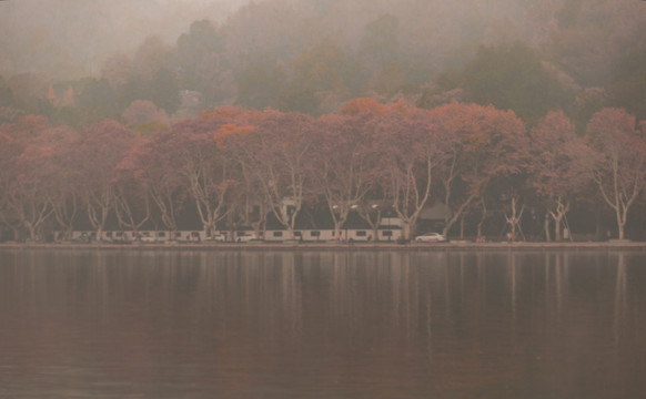 西湖秋景