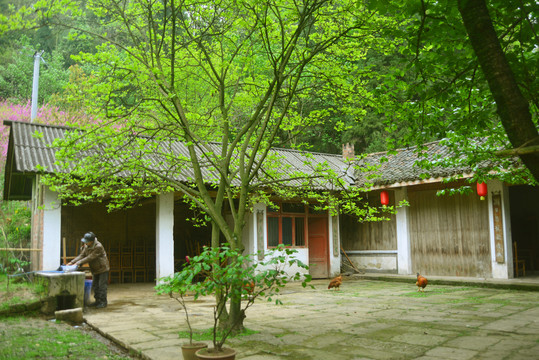 四川彭州丹景山山里农家院坝