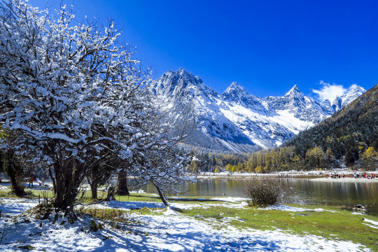 川西高原毕棚沟景区雪山