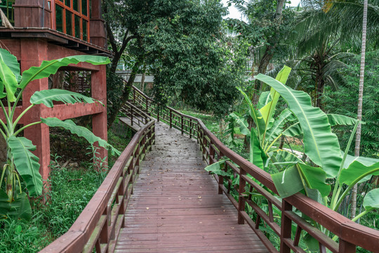 海南热带雨林森林木屋栈道景区