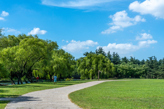 林间小路