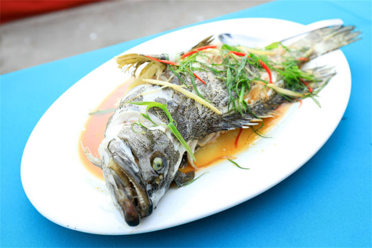 桂山岛海鲜美食