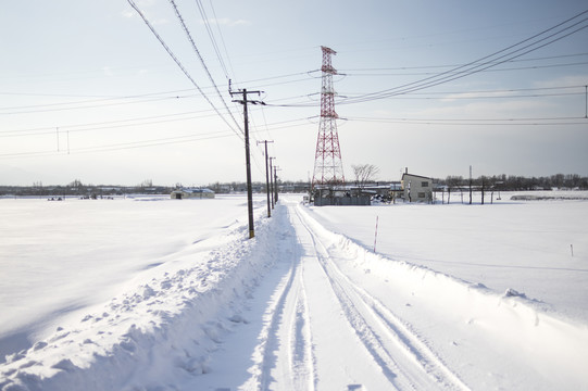 雪地