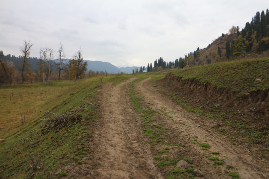 山道