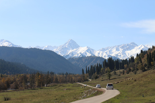 山间小路