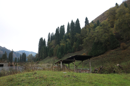 山谷草地凉棚