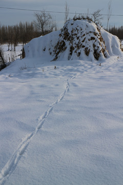 雪地草垛