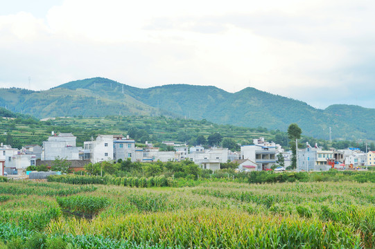 美丽乡村