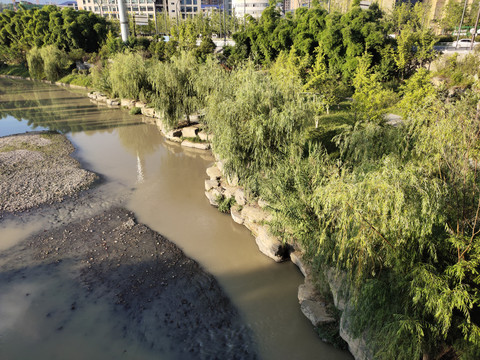 公园绿植与河流