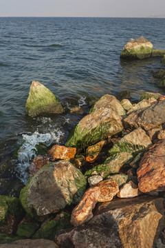 洱海浪花石头青苔