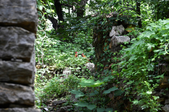 古老的小山村