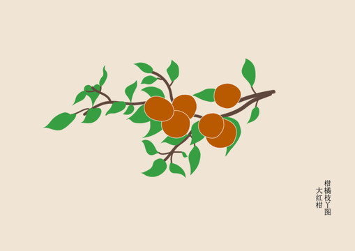 大紅柑