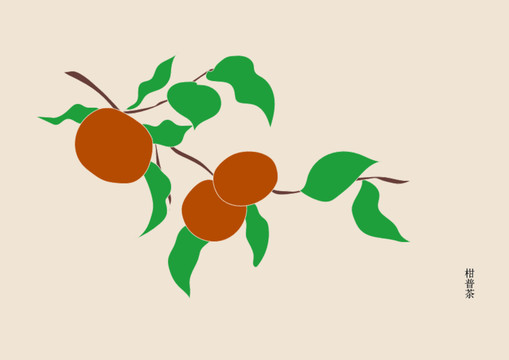 大紅柑柑橘枝插畫