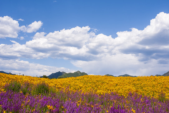 七孔桥花海