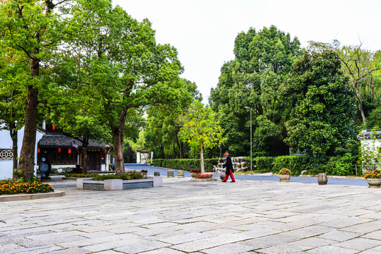 浙江柯岩风景区绿化