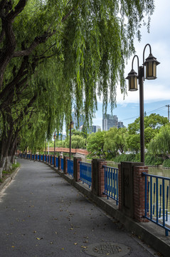 河滨休闲小路