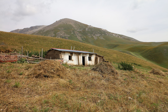 山沟小屋