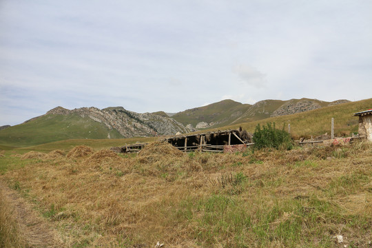 山沟小屋