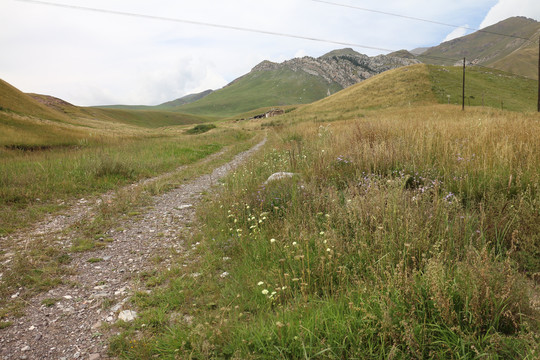 山路牧道