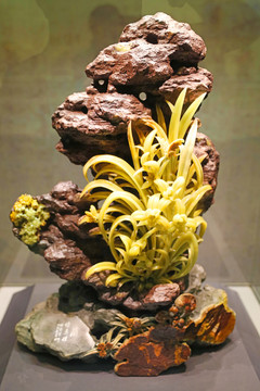 龍蛋石梅蘭竹菊