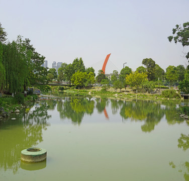 成都江滩公园池塘水景园林