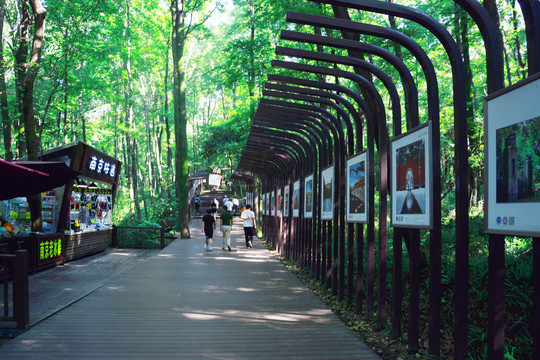 中山陵景区长廊